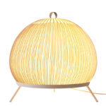 Nordic Modern Minimalist Designer Decorative Bedroom Study Living Room Tearoom Desk Lamp